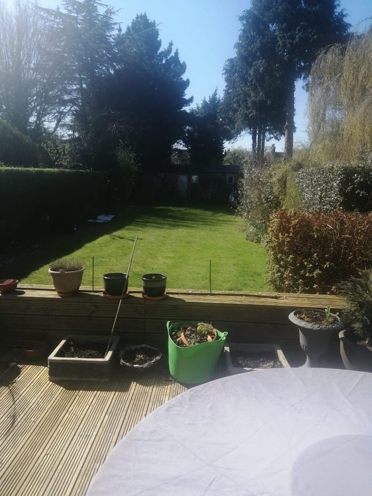Garden view - Ample Therapy