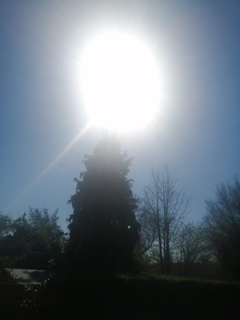 Sun rays - Ample Therapy
